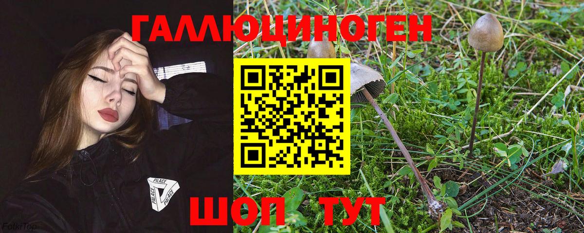 Нижневартовск  ТГК  Гашиш  Вход с VPN  Экстази  Меф кристаллы  Меф  Каннабис  Alpha-PVP СК кристаллы 