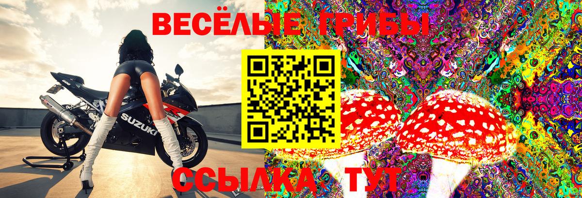 Нижневартовск  Псилоцибиновые грибы Psilocybe  Вход с VPN 